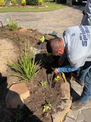 Mr Sprinkler Repair technician working on landscaping in Plano TX